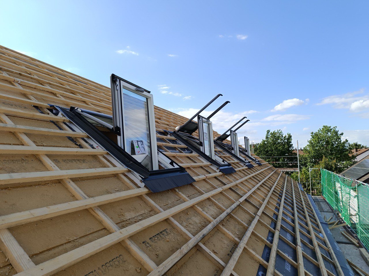 Vier geöffnete Dachflächenfenster im neuen, gelatteten Dachstuhl